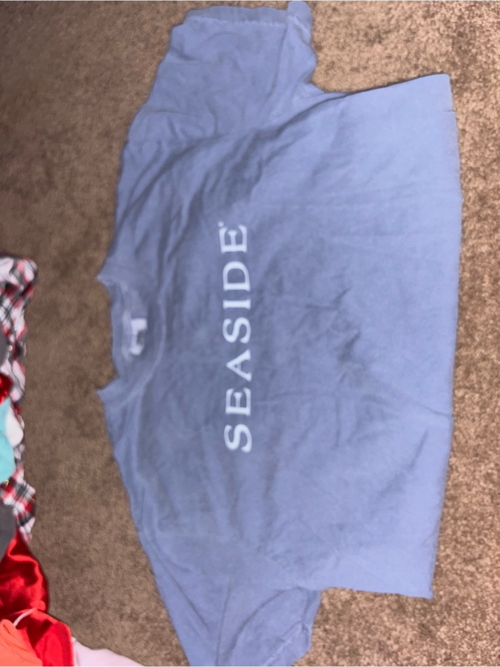 Seaside Short Sleeve Tee in Light Blue
